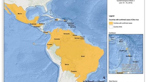 ERV warnt vor Zika-Virus in Lateinamerika / Vorsicht bei Reisen in Risikogebiete für Schwangere geboten 