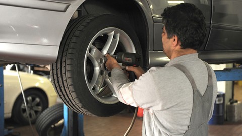 Laub, Nebel und Wild: Herausforderungen für Autofahrer im Herbst - Auf passende Reifen, gute Sicht und defensives Fahrverhalten achten