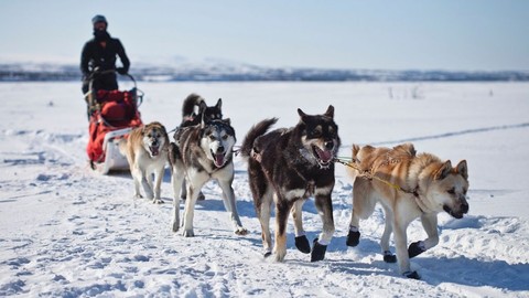 Winterabenteuer auch abseits der Skipiste - Mediterranes Schneeschuhwandern, Rodeln auf 3.000 Metern Höhe und Lamas an der Leine