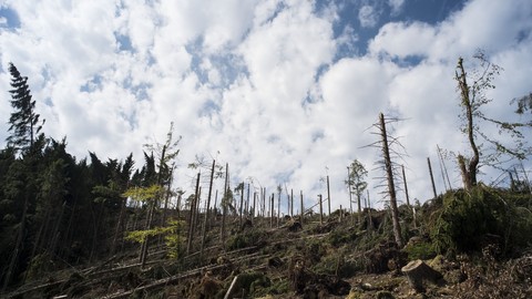 Neue AXA Stiftungsprofessur: Risiken extremer Wetterereignisse