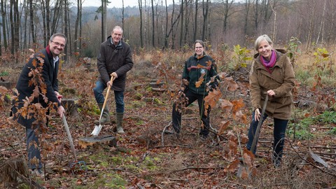 Mit ‚Baum statt Brief‘ schon 3.000 Bäume gepflanzt