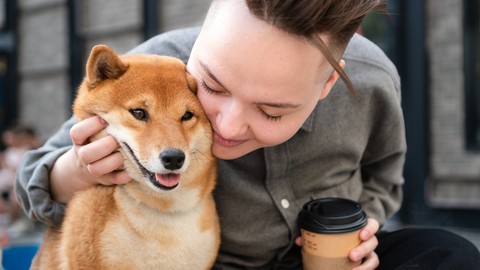 Berlin Direkt startet Hunde-OP-Versicherung