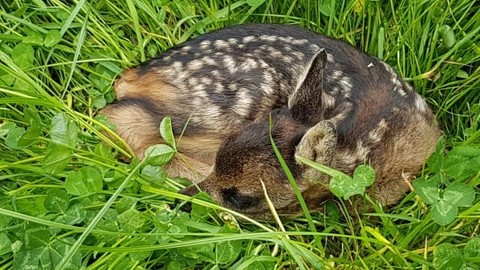 Drohnen-Kaskoversicherung ergänzt ab sofort die Jagd-Haftpflicht-versicherung