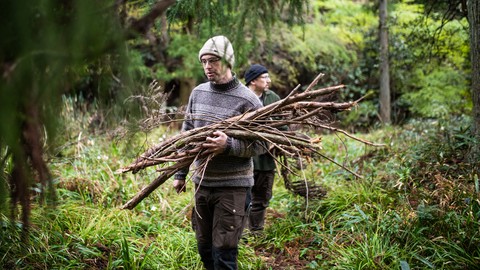 Aktuelle Verbraucherfrage: Ist Holzsammeln im Wald erlaubt?