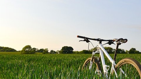 Trotz Vorfahrtrechts: Radfahrer trägt in großem Maße Mitschuld