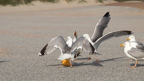 Kollision auf dem Radweg