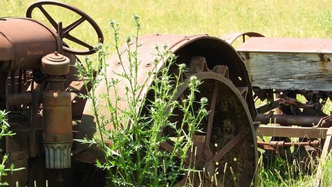 80.000 Euro Entschädigung für kontaminierten Rucola - procontra