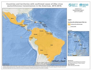 ERV warnt vor Zika-Virus in Lateinamerika / Vorsicht bei Reisen in Risikogebiete für Schwangere geboten 