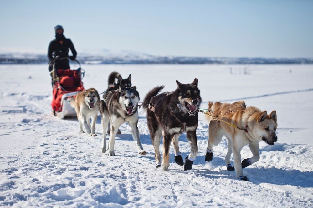 Winterabenteuer auch abseits der Skipiste - Mediterranes Schneeschuhwandern, Rodeln auf 3.000 Metern Höhe und Lamas an der Leine