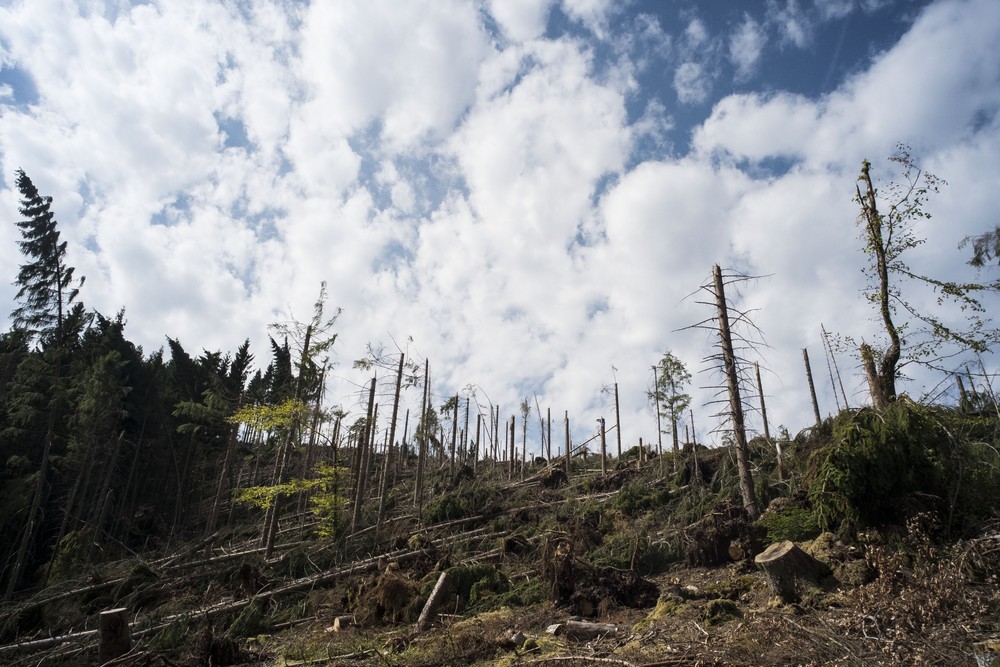 Neue AXA Stiftungsprofessur: Risiken extremer Wetterereignisse