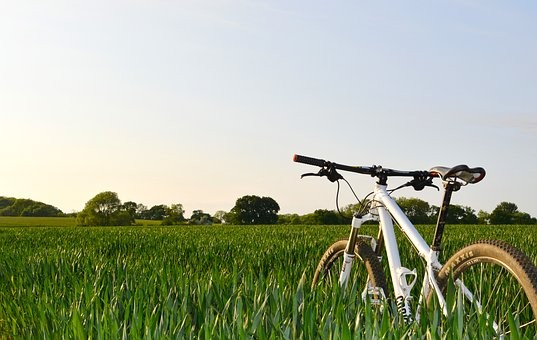 Unfall auf Behelfsradweg: Kein Geld ohne Beweis