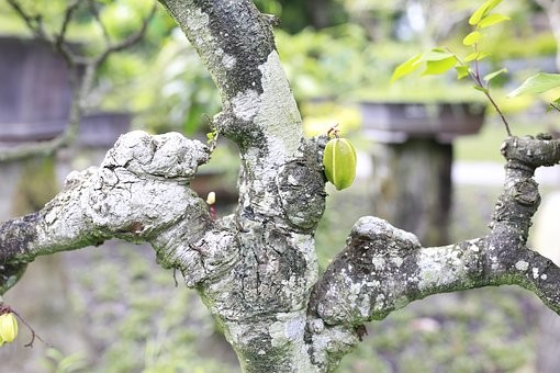 Der Bach, das Rohr und die Überschwemmung